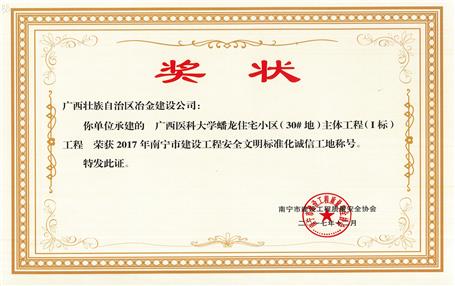 南寧分公司四個項目獲表彰！