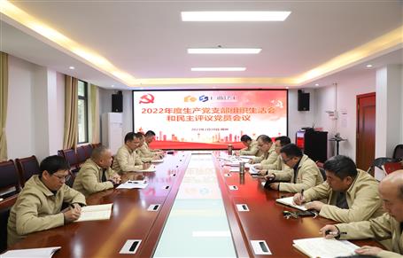 廖立波、唐峰、何勇以普通黨員身份參加所在黨支部2022年度組織生活會